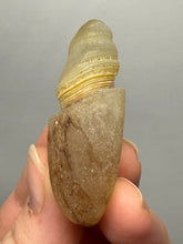 Load image into Gallery viewer, Naturally Sand-Chiseled Gobi Eye Agate | Inner Mongolia Desert Sculpted Specimen
