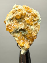 Load image into Gallery viewer, Hessonite Garnet Cluster on Matrix – Thumbnail Collector Specimen from Pakistan | High-Grade Orange-Red Garnet Crystals
