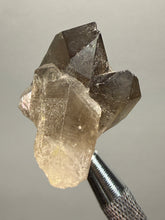 Load image into Gallery viewer, Smoky Quartz Crystal Specimen | Natural Collector Mineral – Brazil
