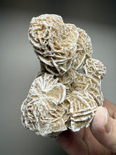 Load image into Gallery viewer, Desert Rose Selenite (Gypsum) — Mineral Display Specimen | Mexico
