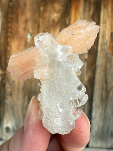 Clear Gem Apophyllite Encrusted Stalactite + Pink Stilbite Cluster • Maharashtra, India