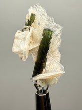 Load image into Gallery viewer, Green Cap Stak Nala Tourmaline with Cleavelandite – Haramosh Mountains, Pakistan | Thumbnail Specimen
