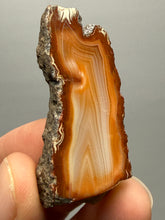 Load image into Gallery viewer, Premium Sumatra Agate (Banded Chalcedony) Display Specimen | Indonesia
