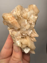 Load image into Gallery viewer, High-Grade Apophyllite on Pink Stilbite Zeolite | Indian Collector Mineral Specimen
