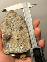 Load image into Gallery viewer, Rare Electric Blue Pentagonite &amp; Cavansite on Druzy Matrix | Collector Mineral Specimen | Wagholi Quarry, India

