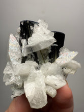 Load image into Gallery viewer, Blue Cap on Dark Green Stak Nala Tourmaline on Cleavelandite on Matrix – Haramosh Mountains, Pakistan
