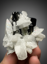 Load image into Gallery viewer, Blue Cap on Dark Green Stak Nala Tourmaline on Cleavelandite on Matrix – Haramosh Mountains, Pakistan
