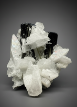 Load image into Gallery viewer, Blue Cap on Dark Green Stak Nala Tourmaline on Cleavelandite on Matrix – Haramosh Mountains, Pakistan
