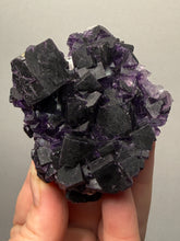 Load image into Gallery viewer, High-Grade Rare Purple-Green-Blue Cubic Fluorite | Cabinet Mineral Collector Specimen | Zhejiang Province, China
