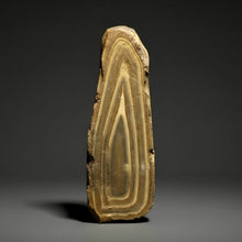 Load image into Gallery viewer, Stromatolite Fossil Slice | Ancient Microbial Reef Structure | Morocco
