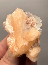 Load image into Gallery viewer, Gemmy Peach Stilbite Flower + Apophyllite on Red Heulandite — Maharashtra, India
