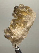Load image into Gallery viewer, Smoky Quartz Crystal Specimen | Natural Collector Mineral – Brazil
