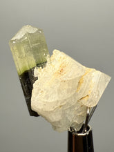 Load image into Gallery viewer, Green Cap Stak Nala Tourmaline with Cleavelandite – Haramosh Mountains, Pakistan | Thumbnail Specimen
