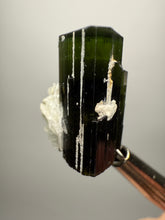 Load image into Gallery viewer, Dark Green Stak Nala Tourmaline and Cleavelandite – Haramosh Mountains, Pakistan | Thumbnail Specimen
