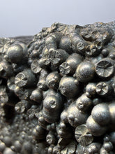 Load image into Gallery viewer, Botryoidal Stalactite Goethite (Iron Oxyhydroxide) Display Specimen | Turkey
