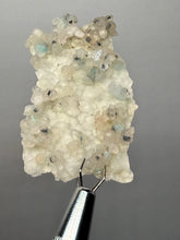Load image into Gallery viewer, Blue-Green Chrysocolla in Botryoidal Chalcedony Cabinet Specimen | Indonesia
