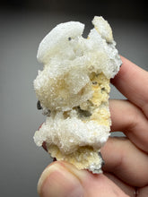 Load image into Gallery viewer, Moroccan Ram’s Horn Selenite (Gypsum) Crystal Display Specimen
