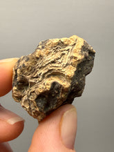 Load image into Gallery viewer, Premium Sumatra Agate (Banded Chalcedony) Display Specimen | Indonesia
