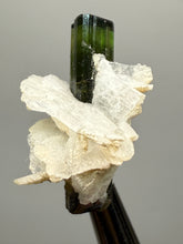 Load image into Gallery viewer, Dark Green Stak Nala Tourmaline and Cleavelandite – Haramosh Mountains, Pakistan | Thumbnail Specimen

