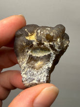 Load image into Gallery viewer, Natural Bonsai Suiseki Chalcedony Gobi Agate Collector Mineral Specimen | Morocco

