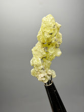 Load image into Gallery viewer, Vibrant Yellow Brucite Thumbnail Mineral Specimen | Collector Crystal from Killa Saifullah District in Balochistan Province, Pakistan
