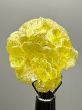 Load image into Gallery viewer, Vibrant Yellow Brucite Thumbnail Mineral Specimen | Collector Crystal from Killa Saifullah District in Balochistan Province, Pakistan
