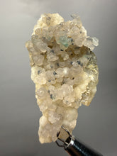 Load image into Gallery viewer, Blue-Green Chrysocolla in Botryoidal Chalcedony Cabinet Specimen | Indonesia
