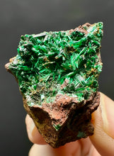 Load image into Gallery viewer, Brochantite Collector Mineral Specimen – Vivid Green Copper Crystals from Morocco
