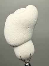 Load image into Gallery viewer, Chichaoua Menalite “Fairy Stone” Concretion | Natural Collector Display Specimen | Morocco
