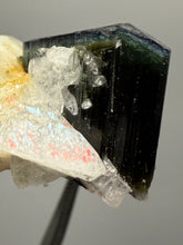Load image into Gallery viewer, Blue Cap Dark Green Stak Nala Tourmaline and Cleavelandite – Haramosh Mountains, Pakistan | Thumbnail Specimen
