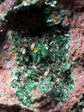 Load image into Gallery viewer, Brochantite Collector Mineral Specimen – Vivid Green Copper Crystals from Morocco
