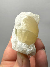 Load image into Gallery viewer, Rare Botryoidal Yellow Fluorite on Quartz Matrix  Collector Mineral Specimen – Maharashtra, India
