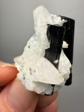 Load image into Gallery viewer, Dark Green Cap Stak Nala Tourmaline on Cleavelandite Matrix – Haramosh Mountains, Pakistan

