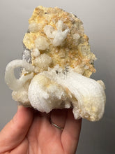 Load image into Gallery viewer, Moroccan Ram’s Horn Selenite (Gypsum) Crystal Display Specimen
