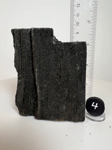 Black Druzy Petrified Wood from Indonesia