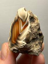 Load image into Gallery viewer, Premium Sumatra Agate (Banded Chalcedony) Display Specimen | Indonesia
