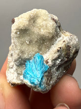 Load image into Gallery viewer, Rare Electric Blue Cavansite on Druzy Matrix – Collector Mineral Specimen | India
