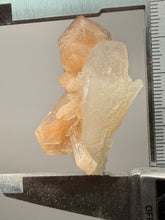 Load image into Gallery viewer, High-Grade Apophyllite on Pink Stilbite Zeolite | Indian Collector Mineral Specimen
