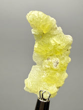 Load image into Gallery viewer, Vibrant Yellow Brucite Thumbnail Mineral Specimen | Collector Crystal from Killa Saifullah District in Balochistan Province, Pakistan
