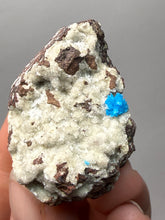 Load image into Gallery viewer, Rare Electric Blue Pentagonite on Druzy Matrix – Collector Mineral Specimen | India
