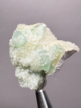 Load image into Gallery viewer, Luminous Mint Apophyllite with Glittering Druzy Sugar Quartz – India

