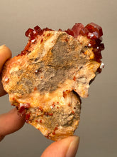 Load image into Gallery viewer, Natural Vanadinite on Matrix | Collector Mineral Specimen | Morocco
