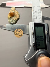 Load image into Gallery viewer, Hessonite Garnet Cluster on Matrix – Thumbnail Collector Specimen from Pakistan | High-Grade Orange-Red Garnet Crystals

