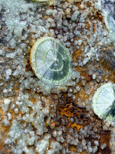 Load image into Gallery viewer, High-Grade Green Wavellite Collectors Specimen - Radiating Botryoidal Crystal Formation - Arkansas, USA

