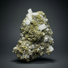 Load image into Gallery viewer, 6.8” New Find: Huanzala Mine Peru Sphalerite + Chalcopyrite + Apatite + Calcite + Quartz | Collector Display Specimen
