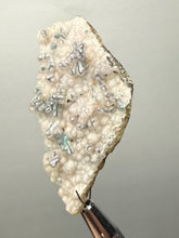 Load image into Gallery viewer, Blue-Green Chrysocolla in Botryoidal Chalcedony Cabinet Specimen | Indonesia
