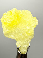 Load image into Gallery viewer, Vibrant Yellow Brucite Thumbnail Mineral Specimen | Collector Crystal from Killa Saifullah District in Balochistan Province, Pakistan
