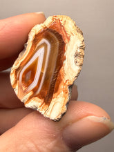 Load image into Gallery viewer, Premium Sumatra Agate (Banded Chalcedony) Display Specimen | Indonesia
