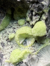 Load image into Gallery viewer, High-Grade Green Wavellite Collectors Specimen - Radiating Botryoidal Crystal Formation - Arkansas, USA
