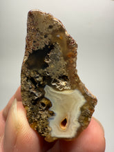 Load image into Gallery viewer, Lot of 9 Small Malawi Agate Halves – Polished Rare Colorful Collector Specimens
